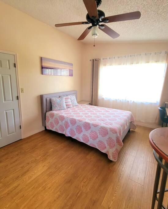 Apartament Comfy Studio In Sarasota Zewnętrze zdjęcie