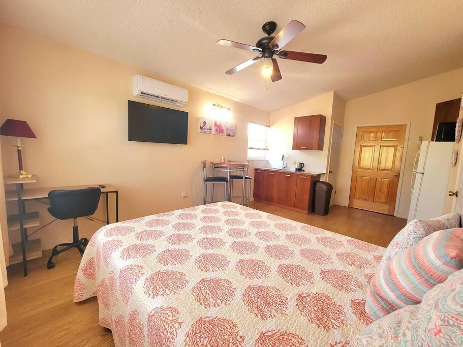 Apartament Comfy Studio In Sarasota Zewnętrze zdjęcie