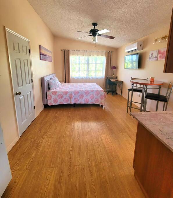 Apartament Comfy Studio In Sarasota Zewnętrze zdjęcie