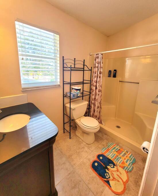 Apartament Comfy Studio In Sarasota Zewnętrze zdjęcie