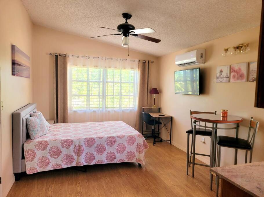 Apartament Comfy Studio In Sarasota Zewnętrze zdjęcie